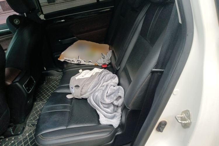 Used GAC Trumpchi GS8 2017 320T Two-Wheel Drive Luxury Smart Connectivity Version (7 Seats)
