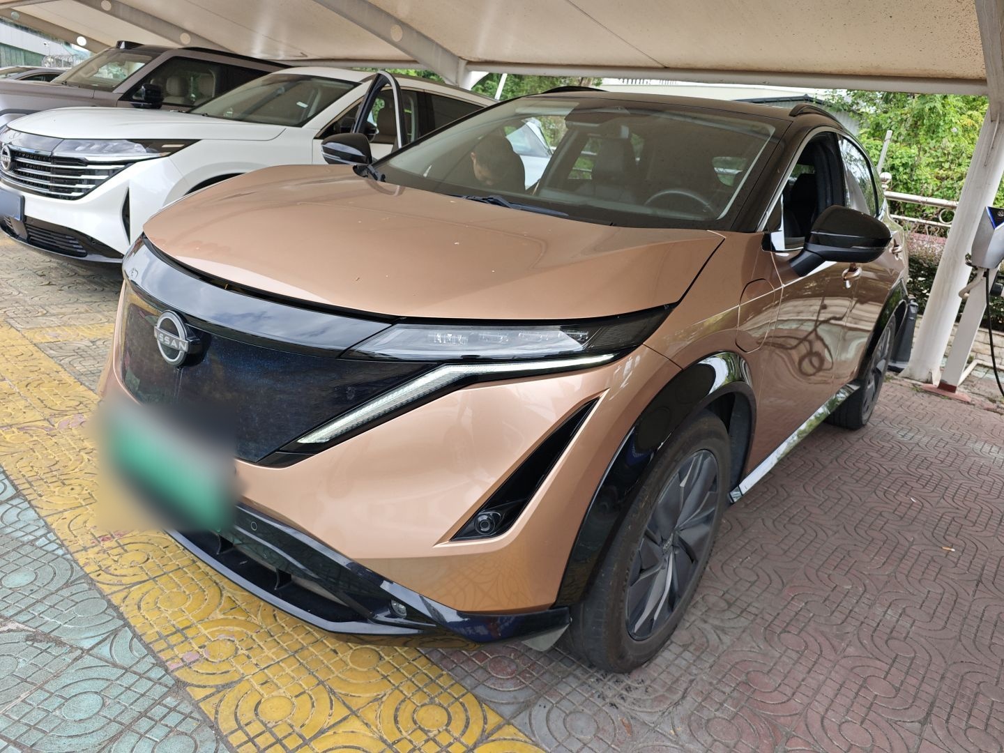 تحت مقدمة السيارة