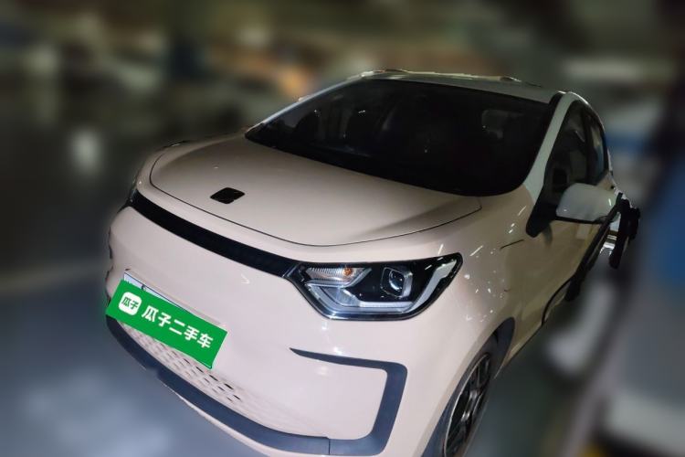 Used SOL E10X 2022 Flower Fairy Design Four-Leaf Clover