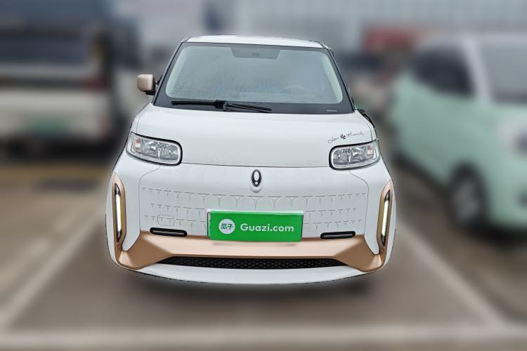 Used ORA White Cat 2022 Xiaoyue Mao Edition 360 km Luxury Model Lithium NMC Front