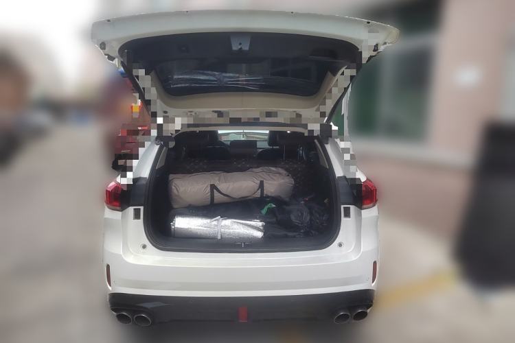 Used Wey VV6 2021 2.0T Two-Wheel Drive Smart Protection+