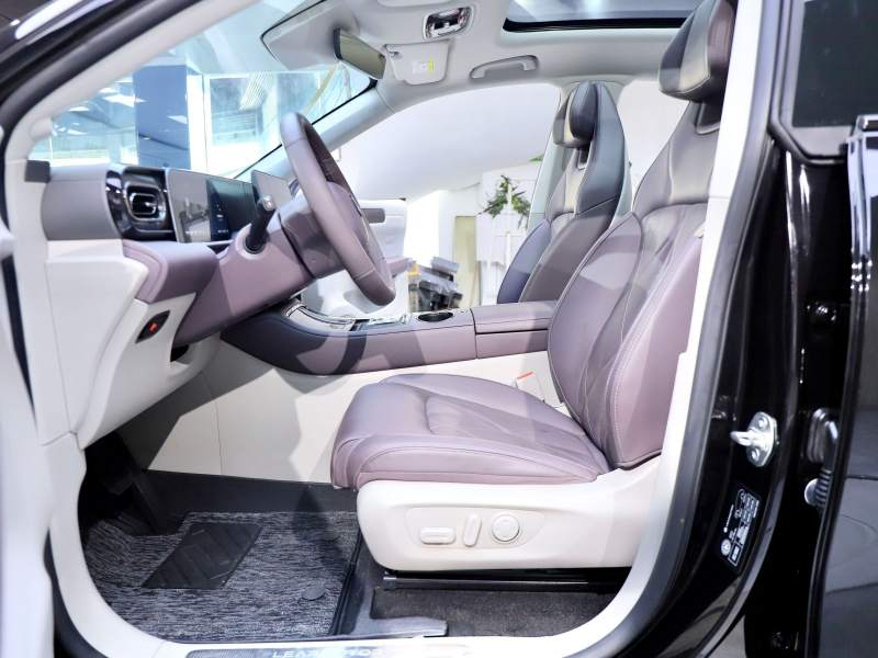 Used Leapmotor C11 2024 Range-Extended 300 Luxury Edition — 38