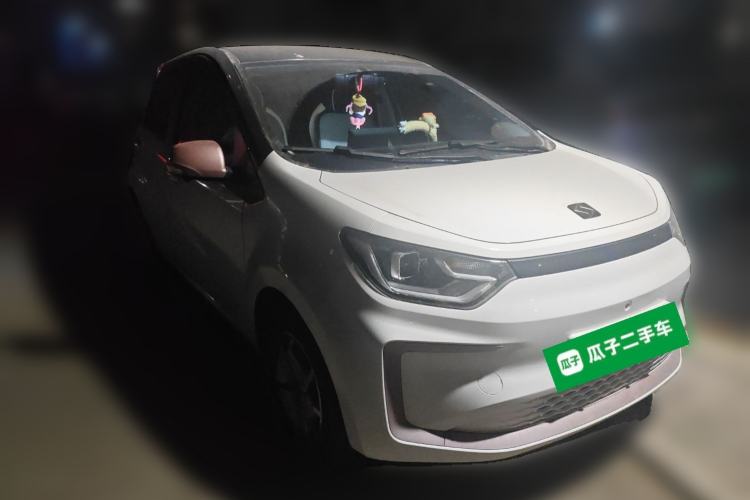 Used SOL E10X 2022 Flower Fairy Design Sunflower
