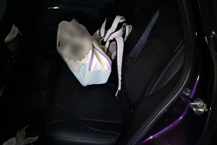 Used EXEED Lingyun 2020 1.6T Two-Wheel Drive Star Edition