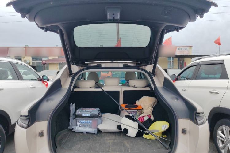 Used IM LS6 2023 Max Extended-Range Version
