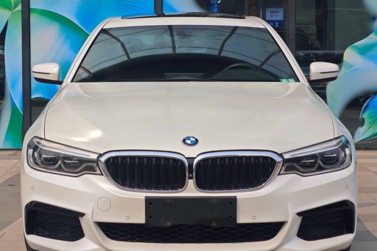 Used BMW 5 Series 2019 Restyled 530Li Luxury Edition M Sport Package Exterior 2