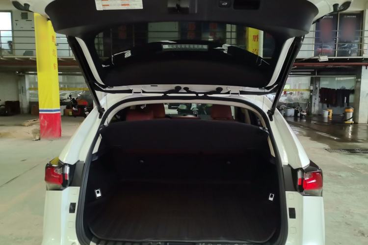 Used Lexus NX 2016 200 All-Wheel Drive FENGSHANG Version Trunk