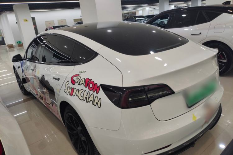 Used Tesla Model 3 2022 Rear-Wheel-Drive Version Rear Left 45 Deg