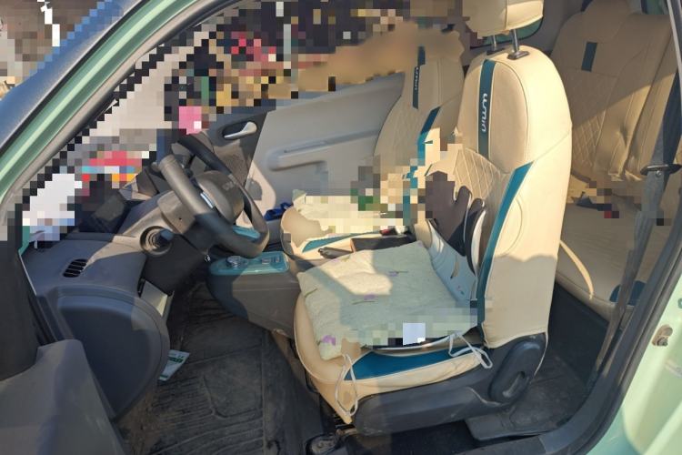 Used Qiyuan Lumin 2023 205km Xiangqin Version