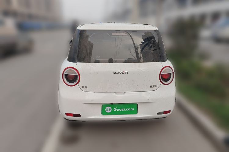 Used Qiyuan Lumin 2023 205km Xiangqin Version