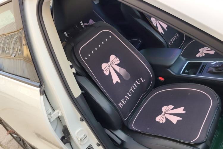 Used Bestune T55 2023 1.5T Automatic Leap Model Right Front Seat