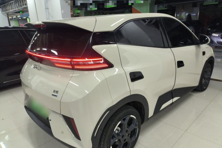 Used BYD Seagull 2025 Smart Drive Version 305 km Freedom Edition