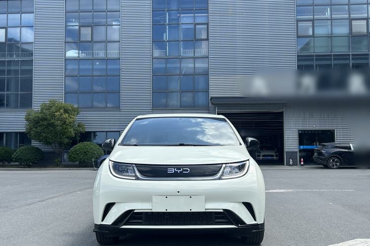 Used BYD Dolphin 2025 420km Free Edition
