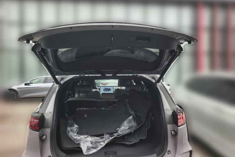 Used BYD Tang New Energy 2025 Intelligent Driving Version DM-i 115KM Flagship Edition Trunk