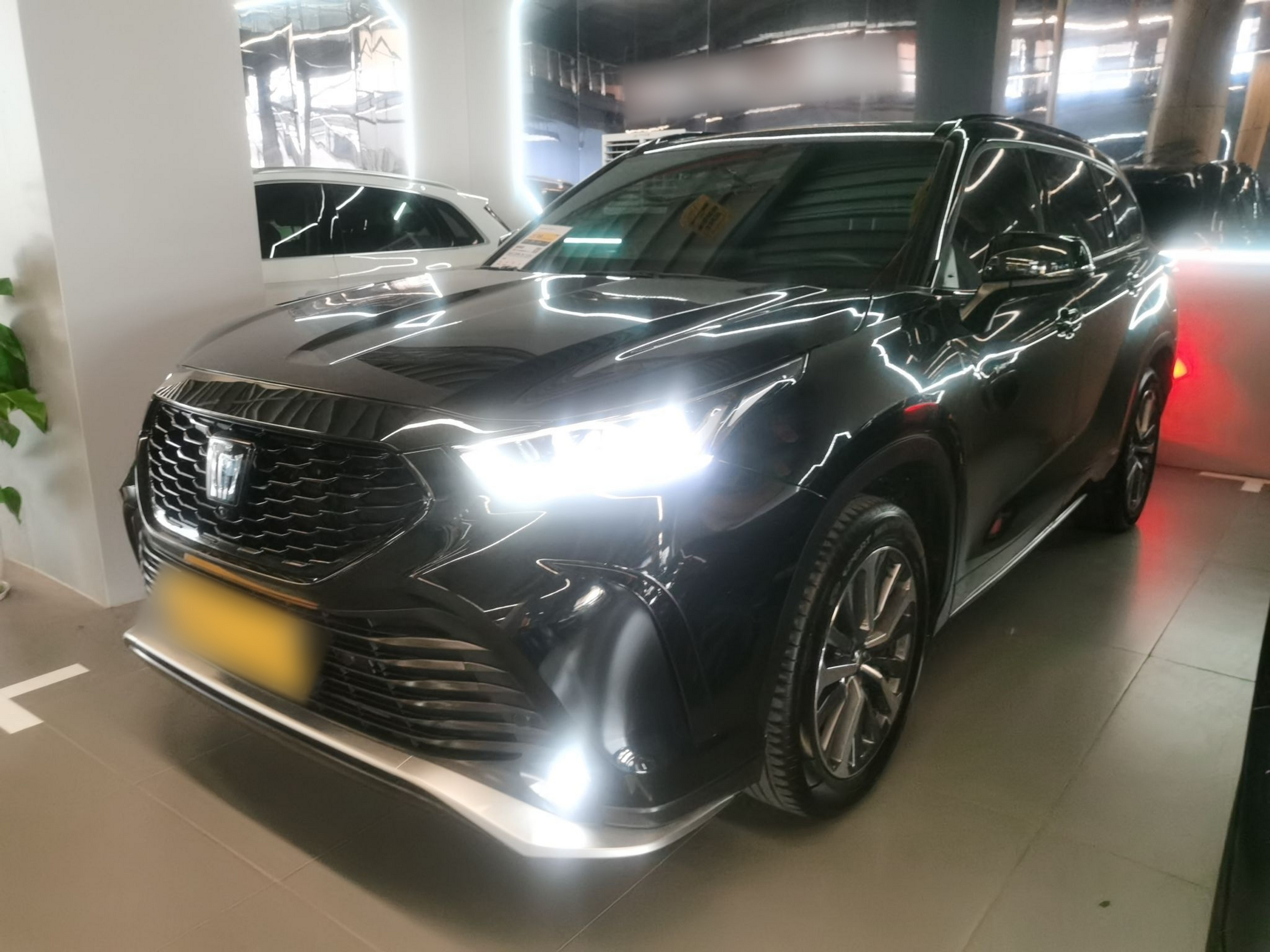 Parte inferior delantera