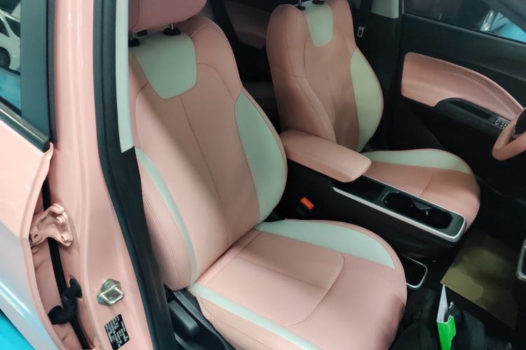 Used NETA V 2021 Witch Edition