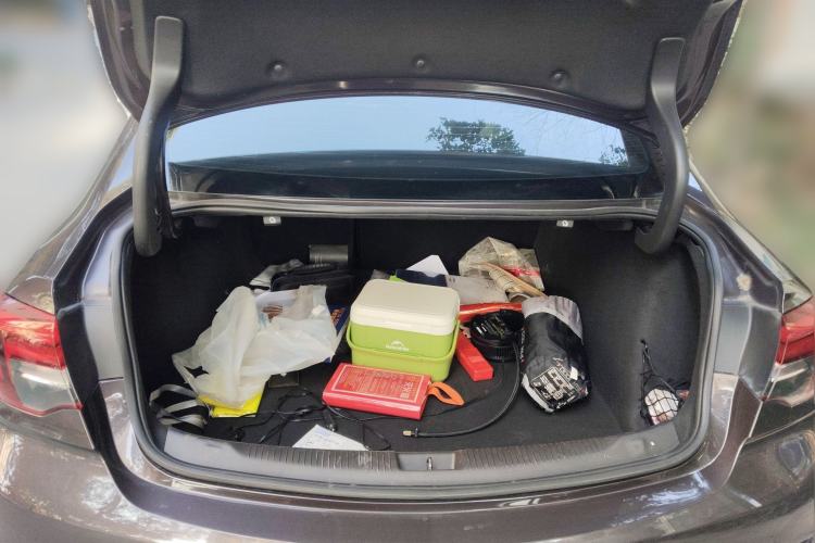 Used Buick Regal 2017 GS 28T Luxury Model
