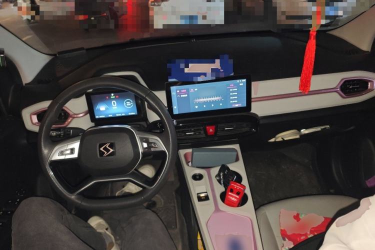 Used SOL E10X 2022 Flower Fairy Design Four-Leaf Clover Center Console