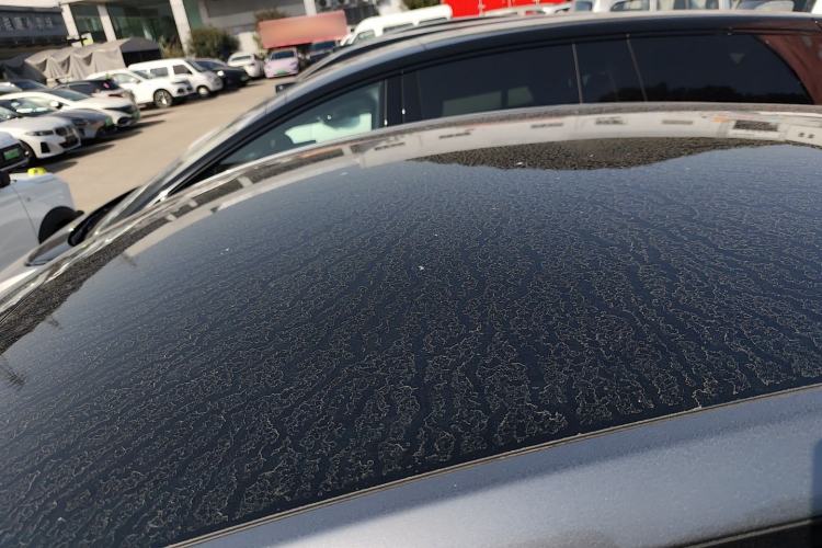 Used Tesla Model Y 2024 Rear-Wheel-Drive Version