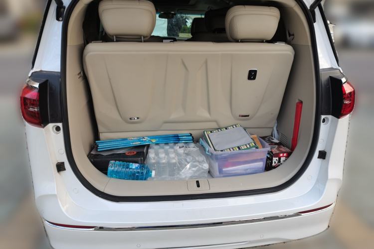 Used Buick GL8 2022 ES Landtrek 653T Comfort Edition
