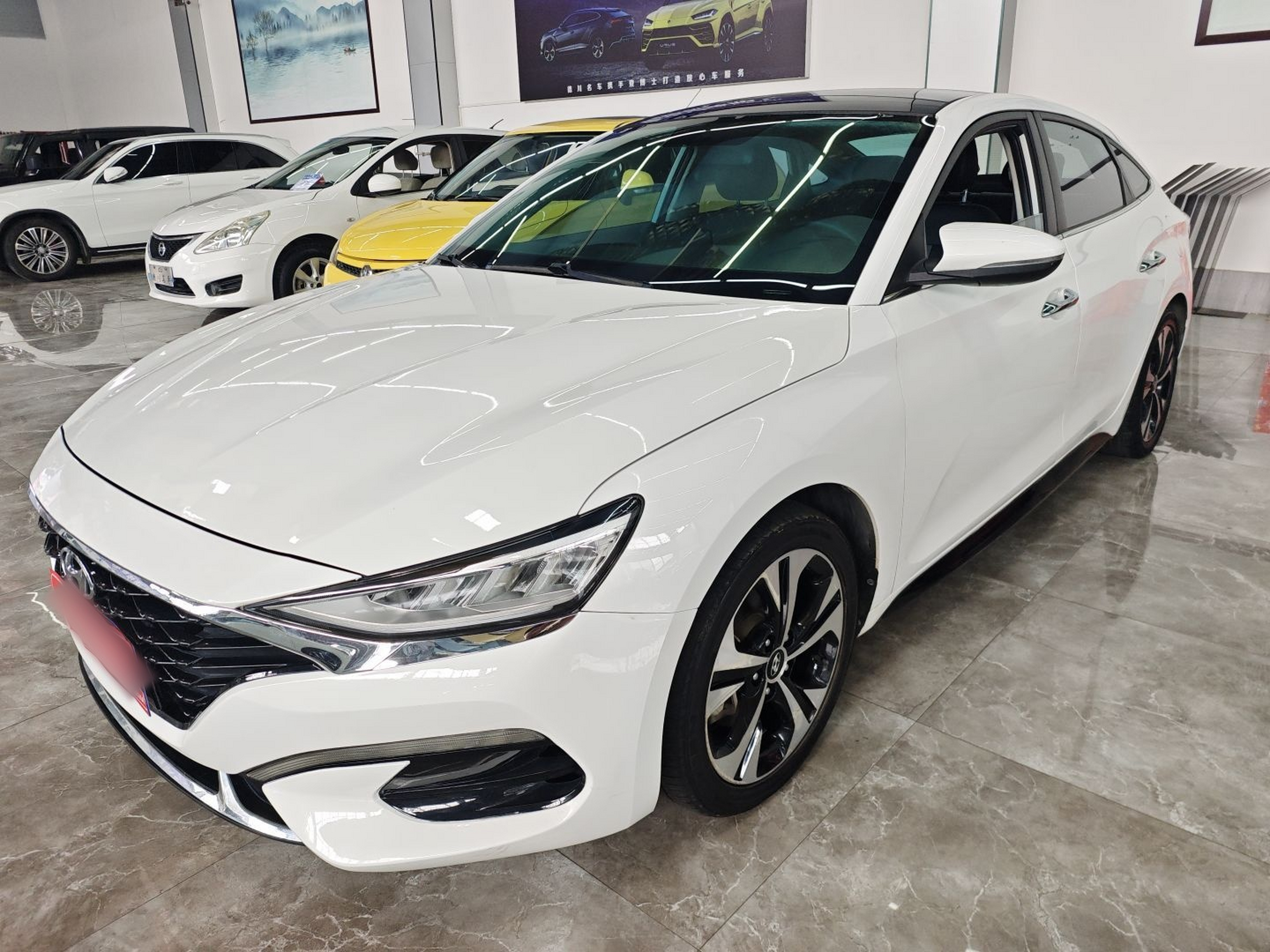 تحت مقدمة السيارة