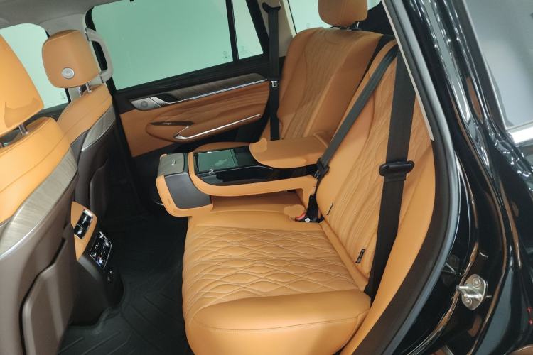 Used Tank 500 New Energy 2026 Model—Hi4-T Smart Enjoyment Version Left Rear Seat