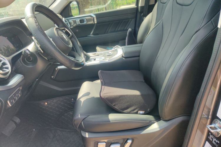 Used Tank 400 2025 2.0T Gasoline Version
