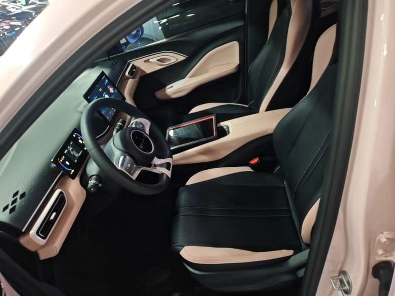 Used BYD Seagull 2023 Active Version — 14