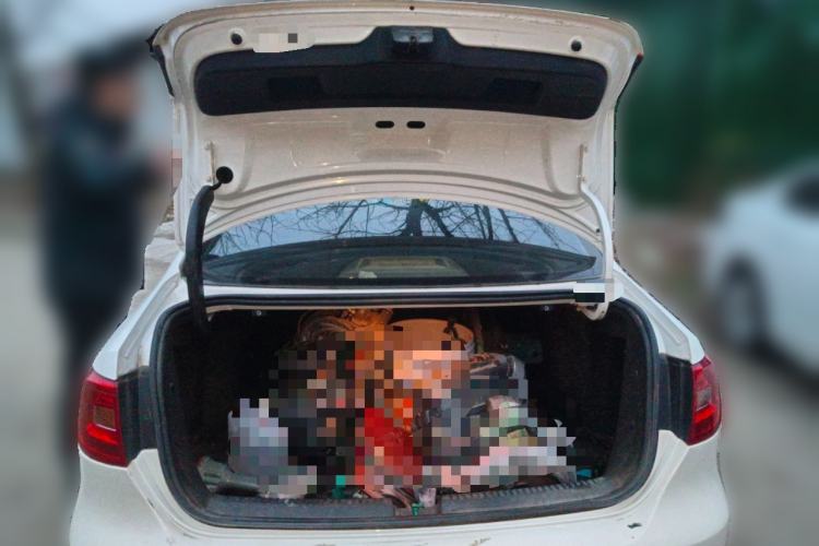 Used Volkswagen Sagitar 2014 Revised Version 1.6L Automatic Comfort Edition Trunk