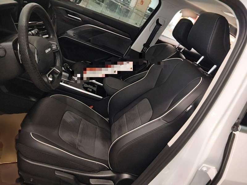 Used Haval H6 2023 National Trend Edition 1.5T Automatic Urban Version — 14