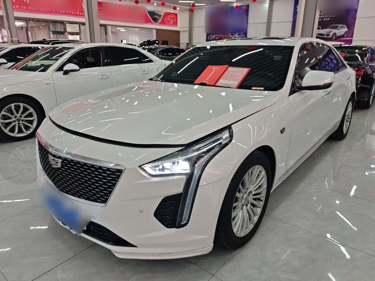 Parte inferior delantera