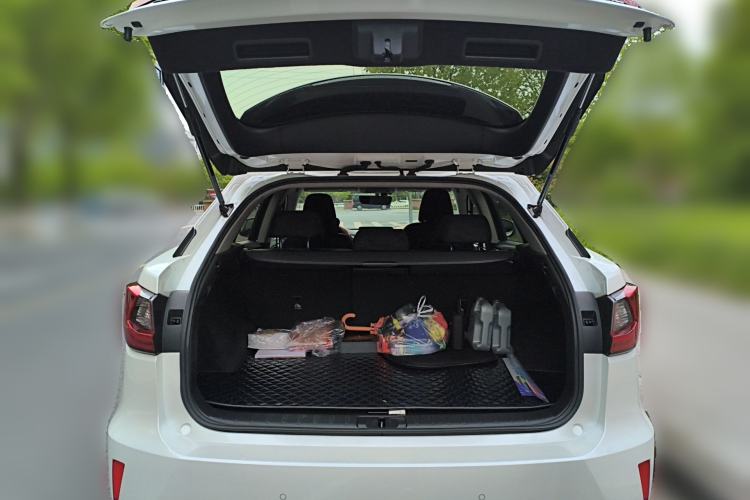 Used Lexus RX  Trunk