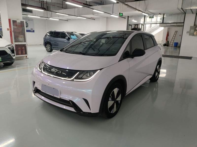 Used BYD Dolphin 2023 420 km Fashion Edition — 1