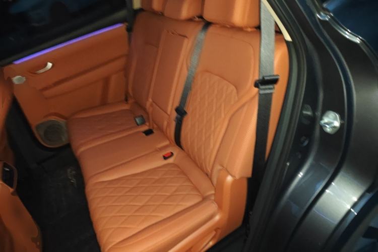 Used Landian E5 PLUS 2026 Model 165km Long-Range First-Adoption Version Ultra 7-seater