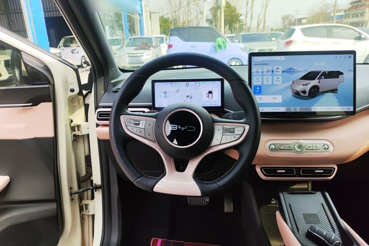 Used BYD Seagull 2025 Smart Drive Version 305 km Freedom Edition
