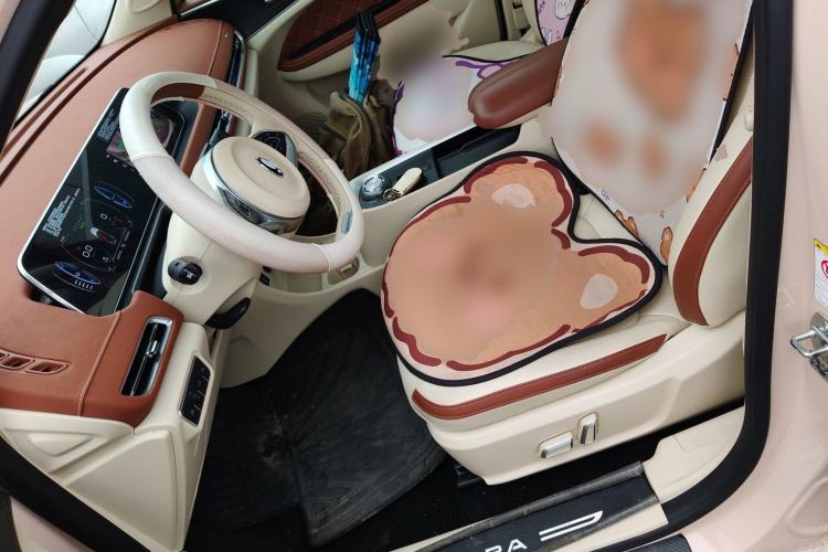 Used ORA Good Cat 2022 Morandi Edition 400km Standard Range Premium Version Lithium Iron Phosphate
