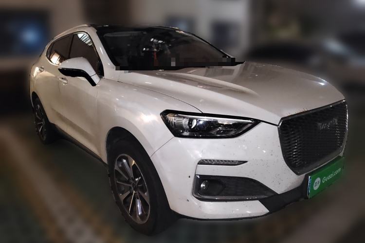Used Haval F5 2019 National Trend Edition 1.5T i-Trend China VI Standard
