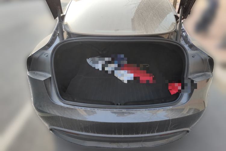 Used Tesla Model 3 2023 Rear-Wheel-Drive Version
