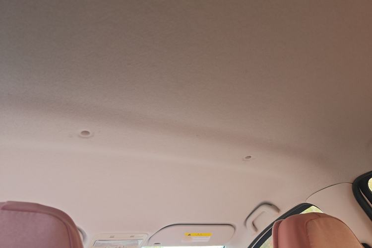 Used SOL E10X 2022 Flower Fairy Design Four-Leaf Clover