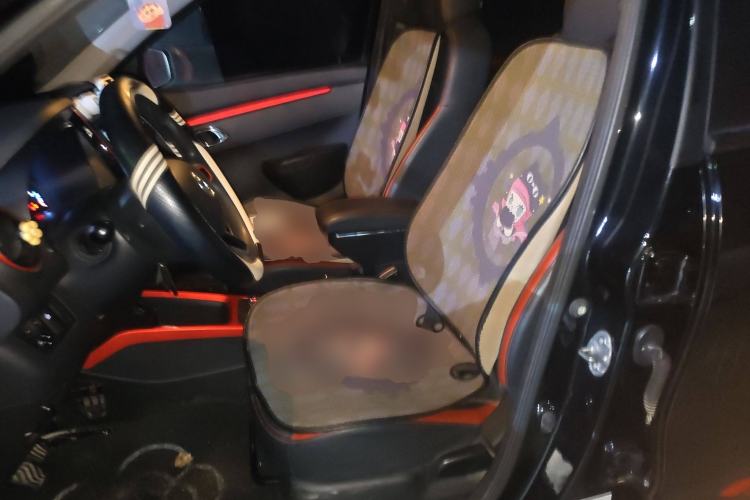 Used Dongfeng NAMMI EX1 2022 PRO Tiger Glory Luxury Model