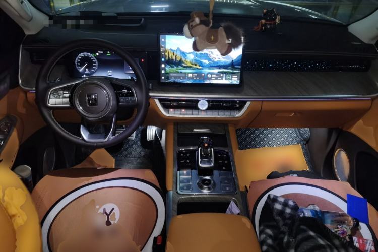 Used Tank 500 New Energy 2024 Hi4-T
