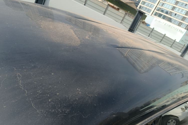 Used FORTHING Lingzhi 2019 Facelifted M5L 1.6L 7-Seater Base Model China VI Standard Roof