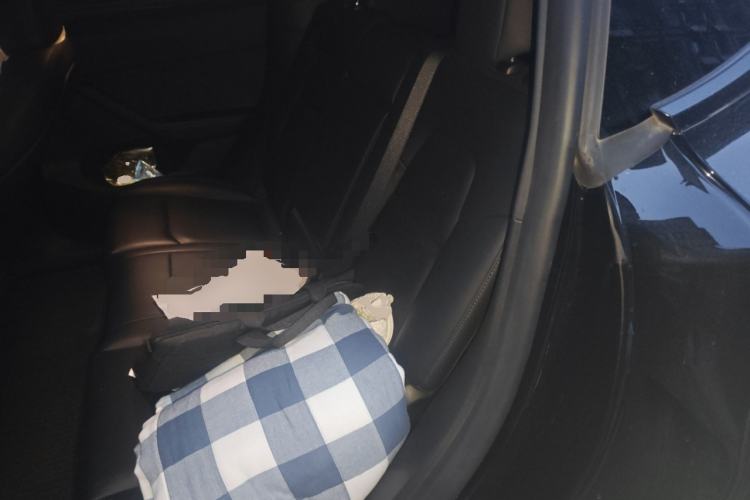 Used Tesla Model Y 2023 Rear-Wheel-Drive Version
