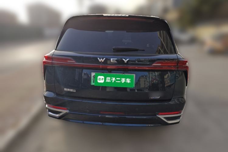 Used Wey Lanshan 2023 Four-Wheel Drive Ultra-Long Range Version