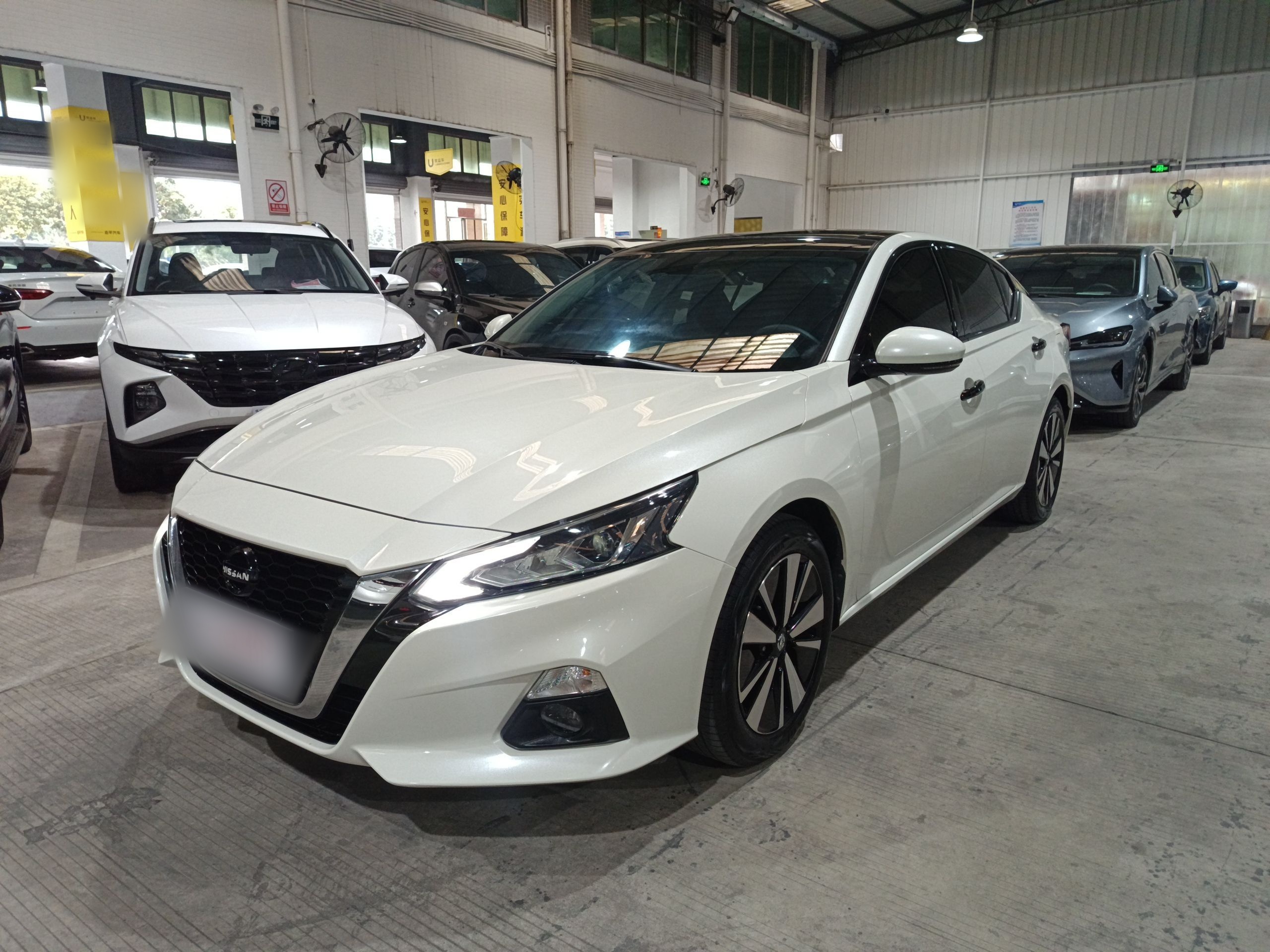 تحت مقدمة السيارة