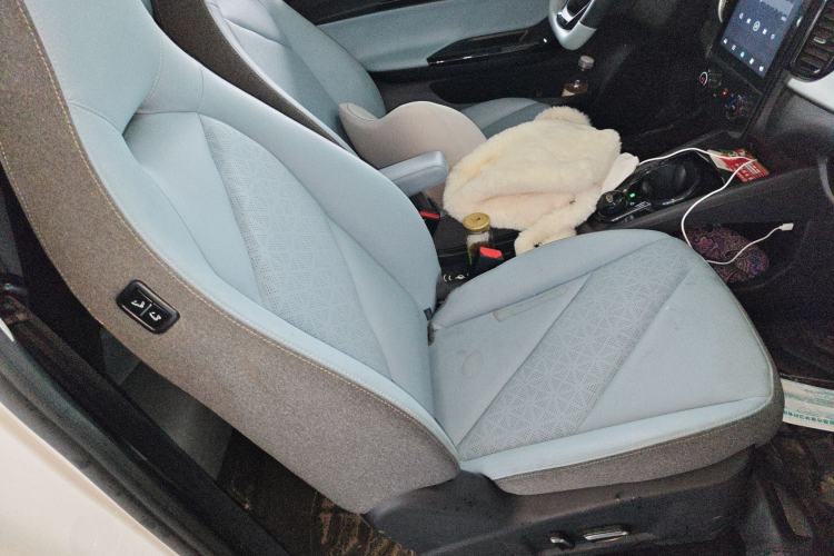 Used Chery Little Ant 2023 251km True Love Edition Lithium Iron Phosphate