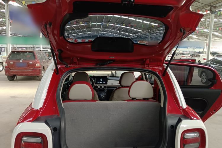 Used ORA Black Cat 2019 351 km Goddess Edition
