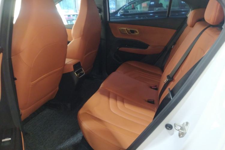 Used NETA X 2023 500