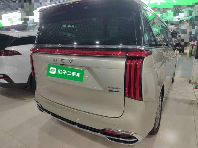 Used Wey Gaoshan 2023 Four-Wheel Drive Flagship Edition — 6