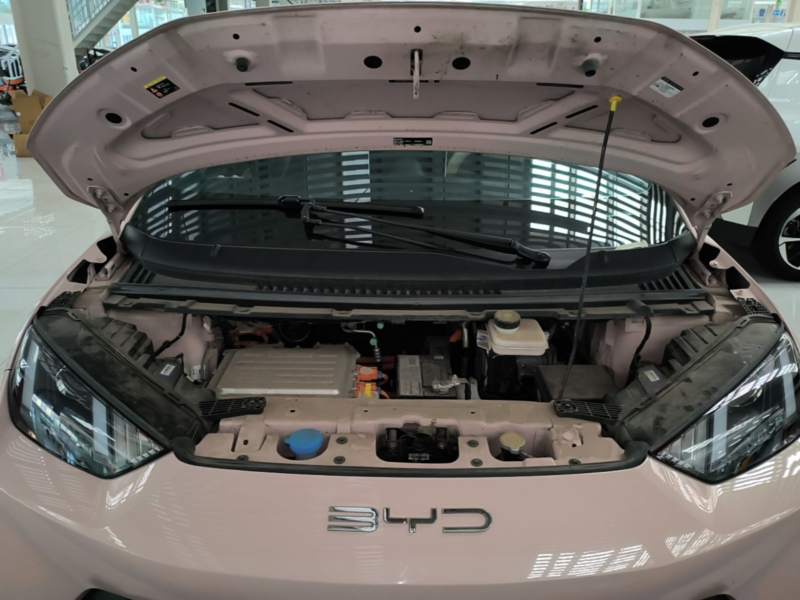 Used BYD Seagull 2023 Active Version — 19